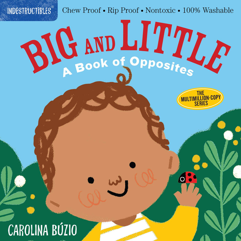 Indestructible Book Big and Little