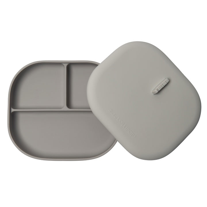 Silver Grey Divided Plate